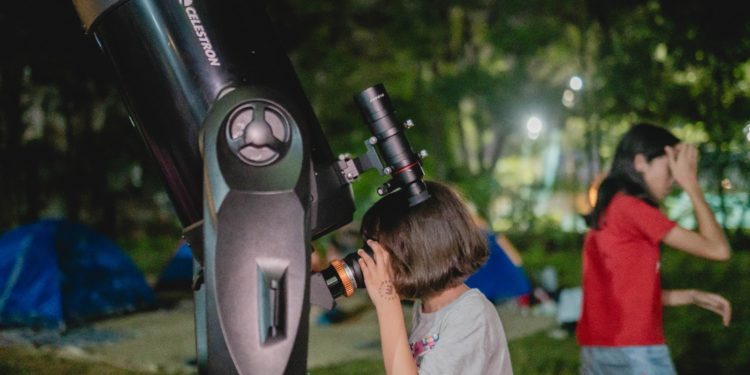 Vacaciones sin pantallas: El MuCi invita a descubrir la ciencia a través de la naturaleza y el juego