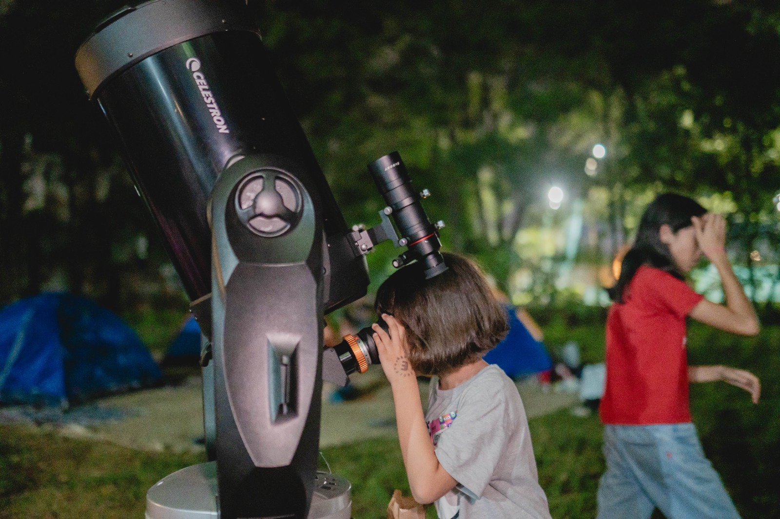 Vacaciones sin pantallas: El MuCi invita a descubrir la ciencia a través de la naturaleza y el juego