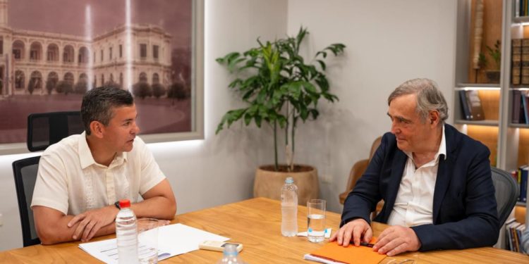 Presidente Peña recibe al CEO de firma europea, líder mundial en fabricación de derivados de madera