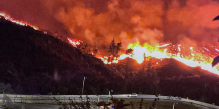 Trágicos incendios en el sur de Chile: al menos 15 muertos y miles de evacuados