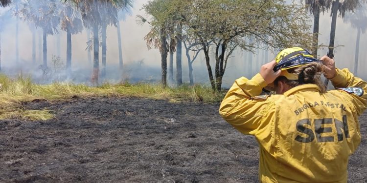 Falta de conciencia por quemas cuesta al Estado G. 500 millones en un solo operativo Falta de conciencia por quemas cuesta al Estado G. 500 millones en un solo operativo