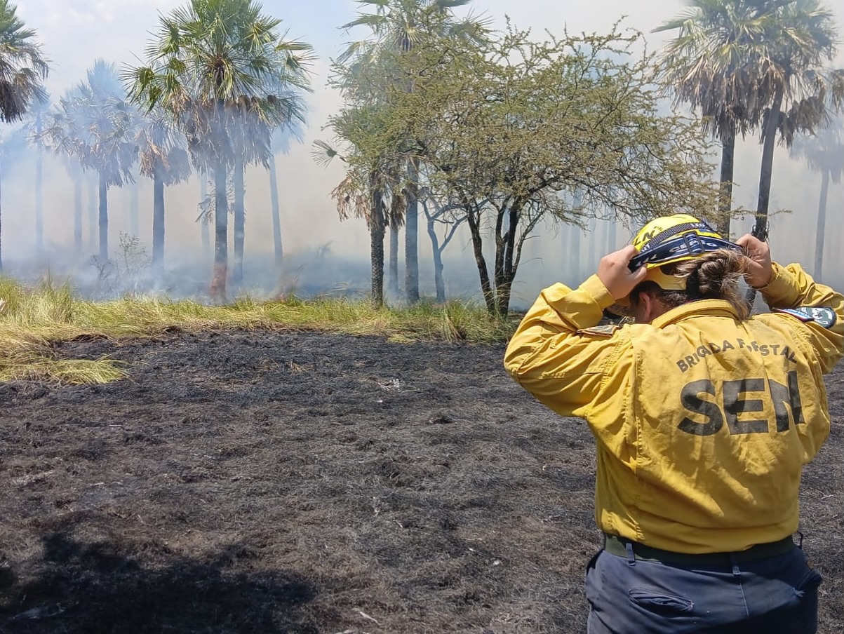 Falta de conciencia por quemas cuesta al Estado G. 500 millones en un solo operativo
