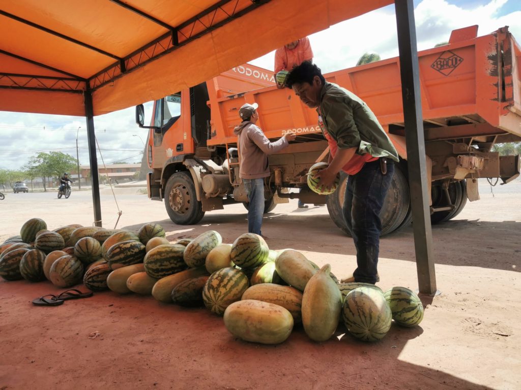 Gobernación realiza primera Expo Feria de la Sandía en Boquerón para apoyar a pequeños productores Gobernación realiza primera Expo Feria de la Sandía en Boquerón para apoyar a pequeños productores