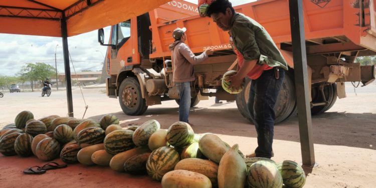Gobernación realiza primera Expo Feria de la Sandía en Boquerón para apoyar a pequeños productores Gobernación realiza primera Expo Feria de la Sandía en Boquerón para apoyar a pequeños productores