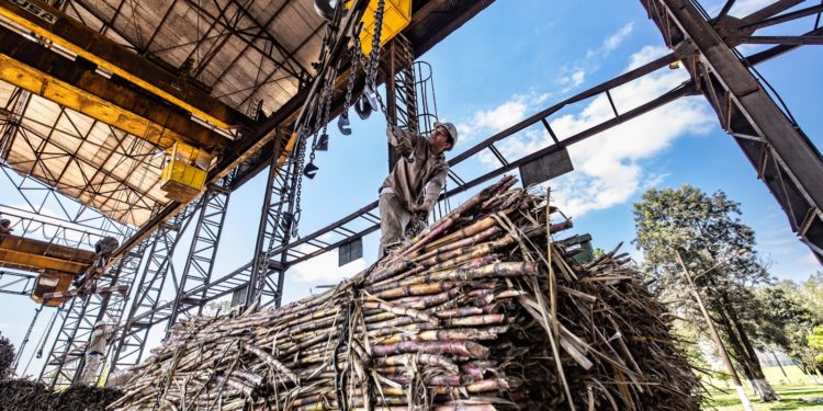 Cañicultores del Guairá amenazan con una nueva movilización, por retrasos en el tren de molienda
