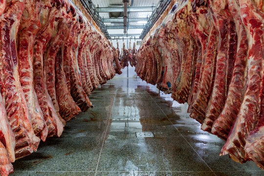 La paradoja de la carne en Paraguay: ¿Por qué suben los precios si el productor gana menos?