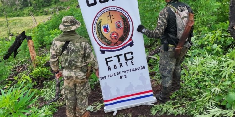 CODI detiene a presunto líder indígena vinculado al crimen organizado en Canindeyú CODI detiene a presunto líder indígena vinculado al crimen organizado en Canindeyú