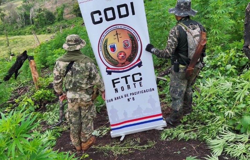 CODI detiene a presunto líder indígena vinculado al crimen organizado en Canindeyú