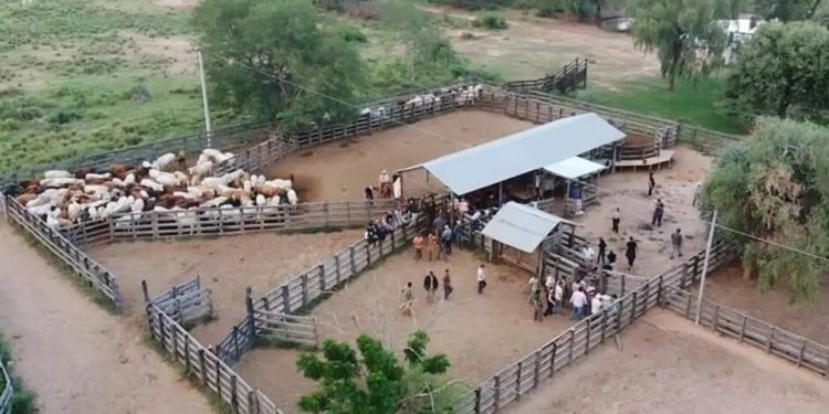 Encuesta productiva en el Chaco busca una radiografía clave del sector agropecuario para definir políticas públicas Encuesta productiva en el Chaco busca una radiografía clave del sector agropecuario para definir políticas públicas