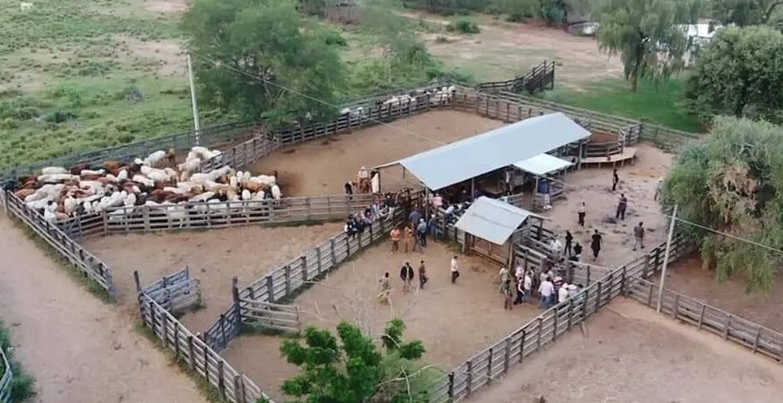 Encuesta productiva en el Chaco busca una radiografía clave del sector agropecuario para definir políticas públicas