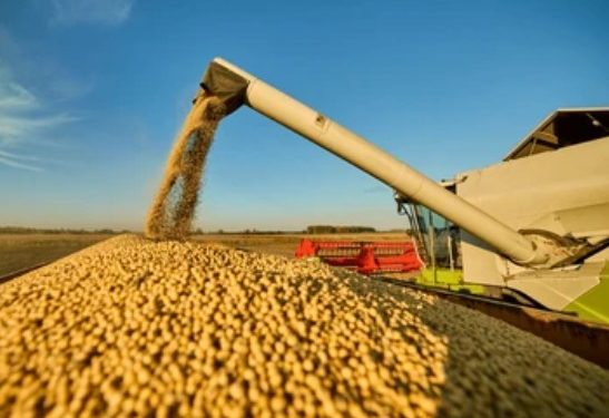 Fecoprod reclama claridad y equilibrio en la comercialización de la soja