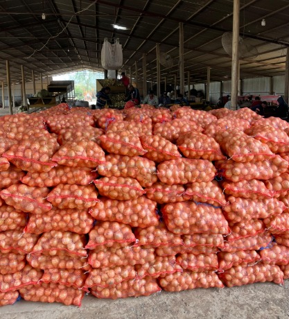 DNIT contra productor de cebolla: cuatro meses después, la condena que huele a arbitrariedad institucional DNIT contra productor de cebolla: cuatro meses después, la condena que huele a arbitrariedad institucional