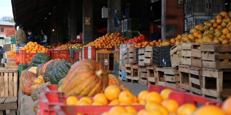 Crisis del Tomate: Comerciantes del Abasto denuncian «escasez total» y acusan al MAG