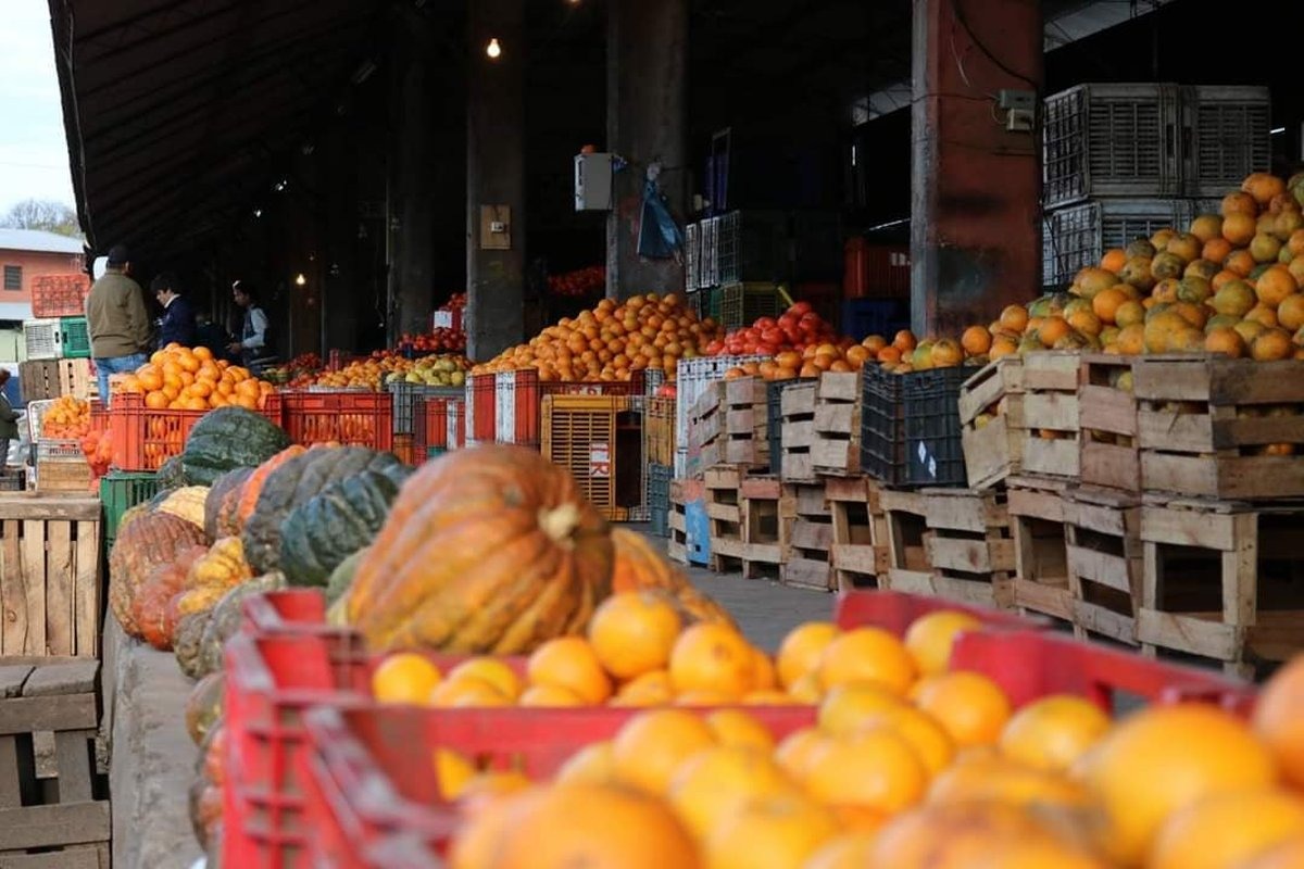 Crisis del Tomate: Comerciantes del Abasto denuncian «escasez total» y acusan al MAG