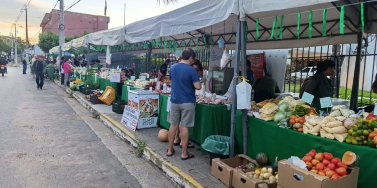 Ofrecerán tomate a G. 9.000 el kilo en feria, en medio de quejas por escasez en el mercado