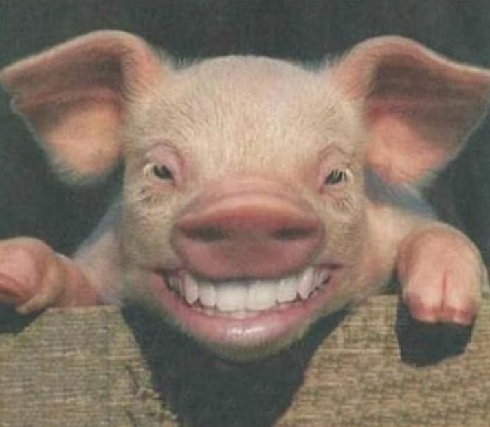 Apertura: el Chanchón volvió a sonreír y el Aborigen no tuvo piedad con el Rayadito