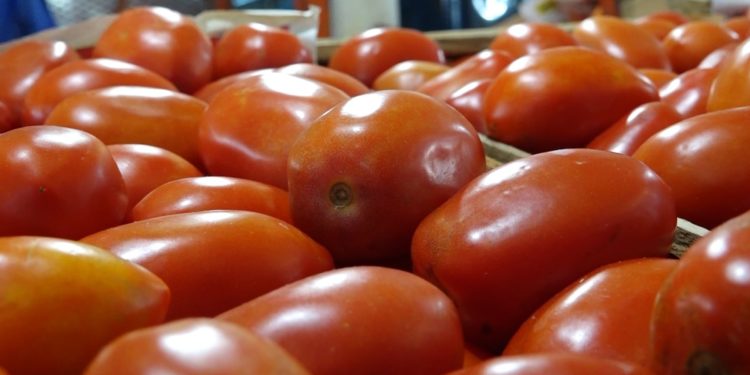 Se agrava la «guerra del tomate»: el ministro de agricultura habla de una «mafia»