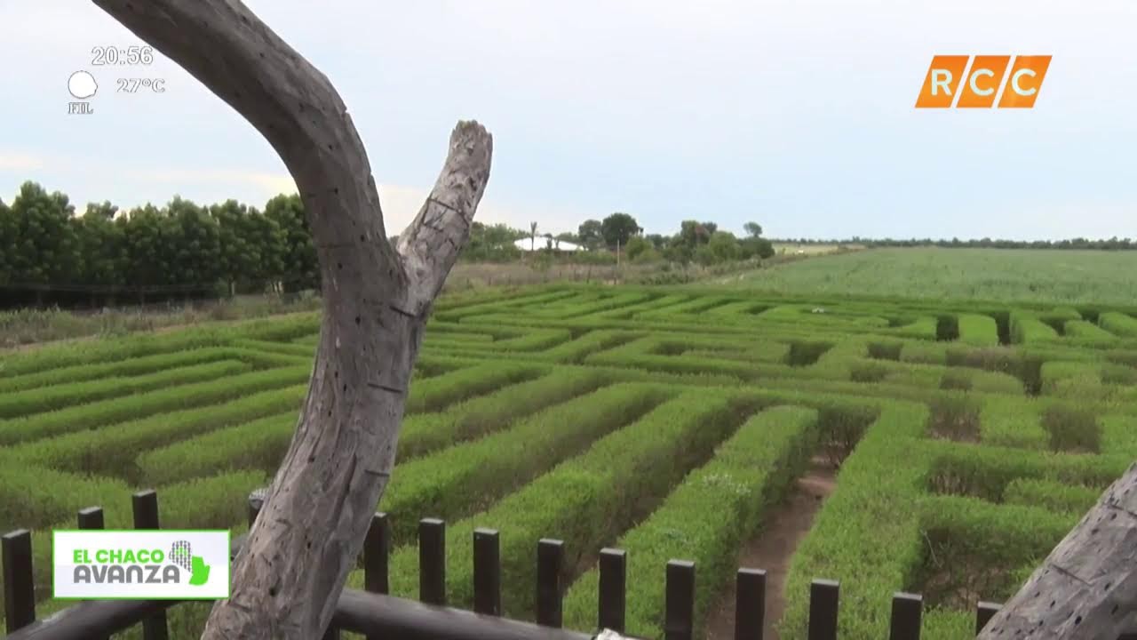 Video: El Chaco Avanza | Laverinto vegetal
