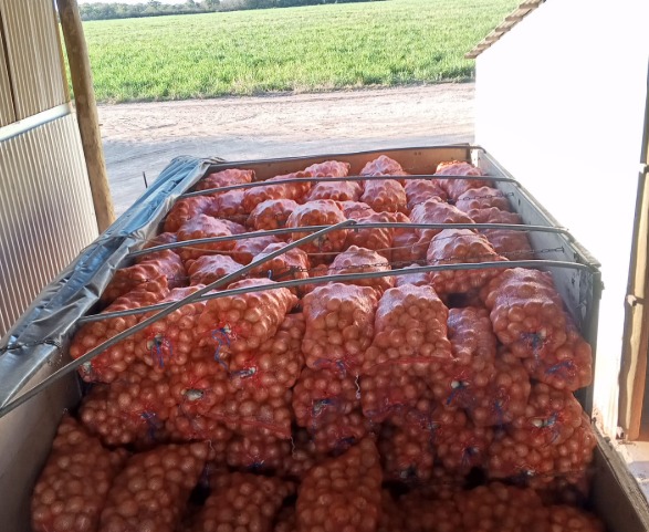 El caso cebollas del Chaco y el choque entre la producción nacional y las acusaciones de la DNIT