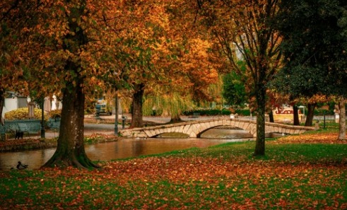 El otoño llega con señales de alivio: Pronostican ingreso de frente frío para la próxima semana