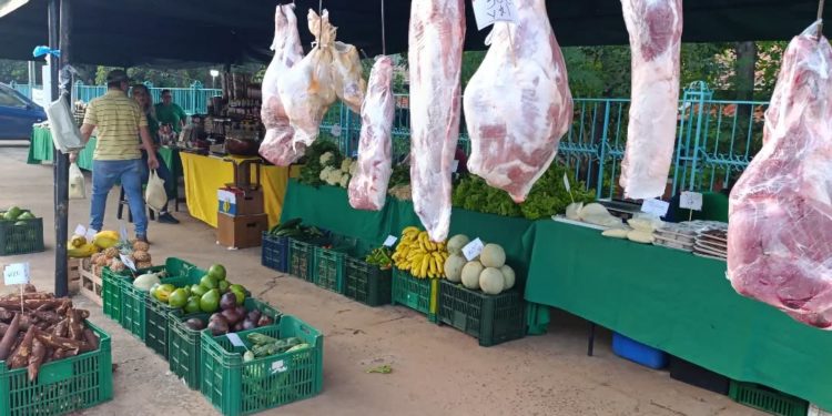 Ferias del MAG suman desde hoy “carne vacuna barata” y refuerzan campaña por Semana Santa Ferias del MAG suman desde hoy “carne vacuna barata” y refuerzan campaña por Semana Santa