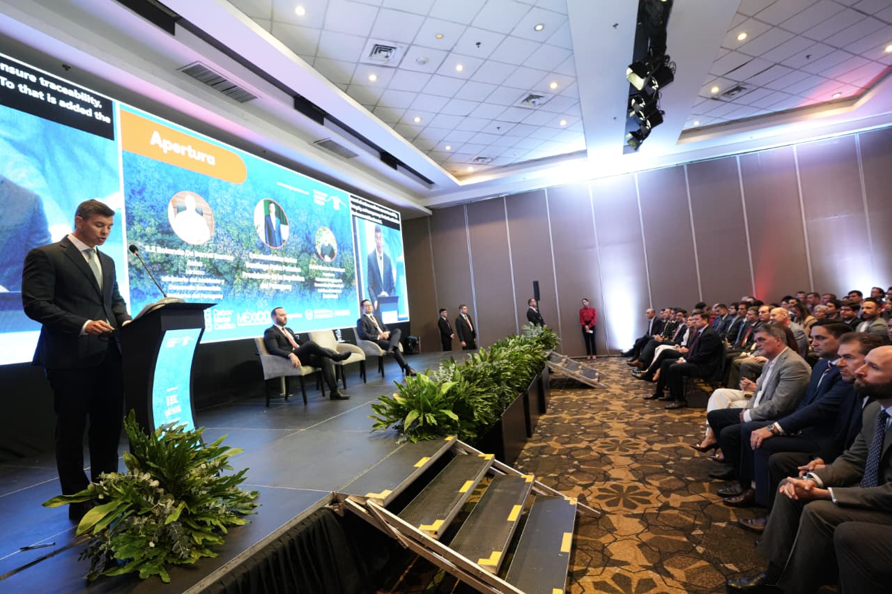 Paraguay apuesta al mercado de carbono para atraer inversiones y posicionarse en la economía verde Paraguay apuesta al mercado de carbono para atraer inversiones y posicionarse en la economía verde