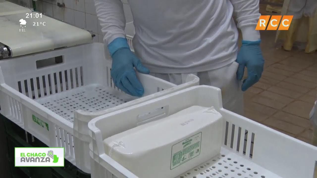 Video: El Chaco Avanza | Queso del Chaco a cada mesa