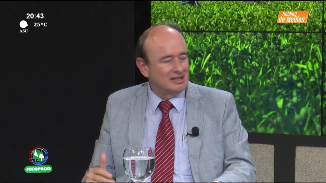 Video: Petróleo y gas, situación internacional y nacional | Camino al desarrollo