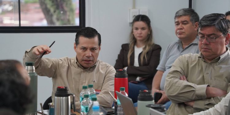 La ANDE informa que la Línea 500 kV Yguazú-Valenzuela alcanza el 60% de ejecución