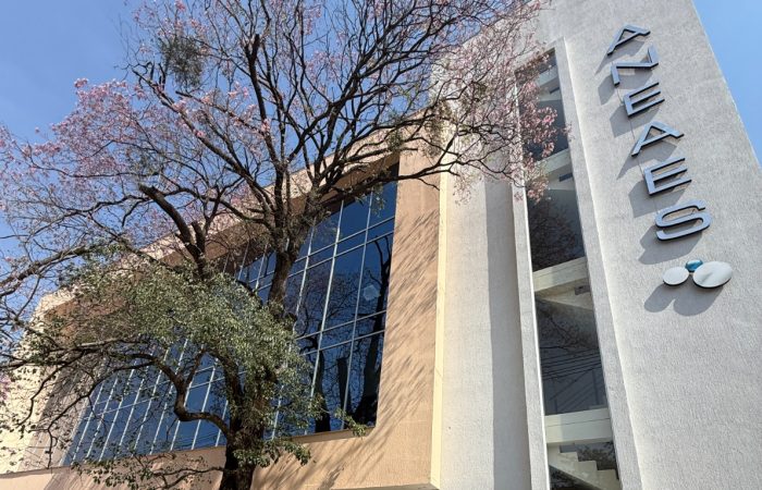 ANEAES lanza pasantías universitarias remuneradas 2026: buscan jóvenes con formación académica y compromiso profesional