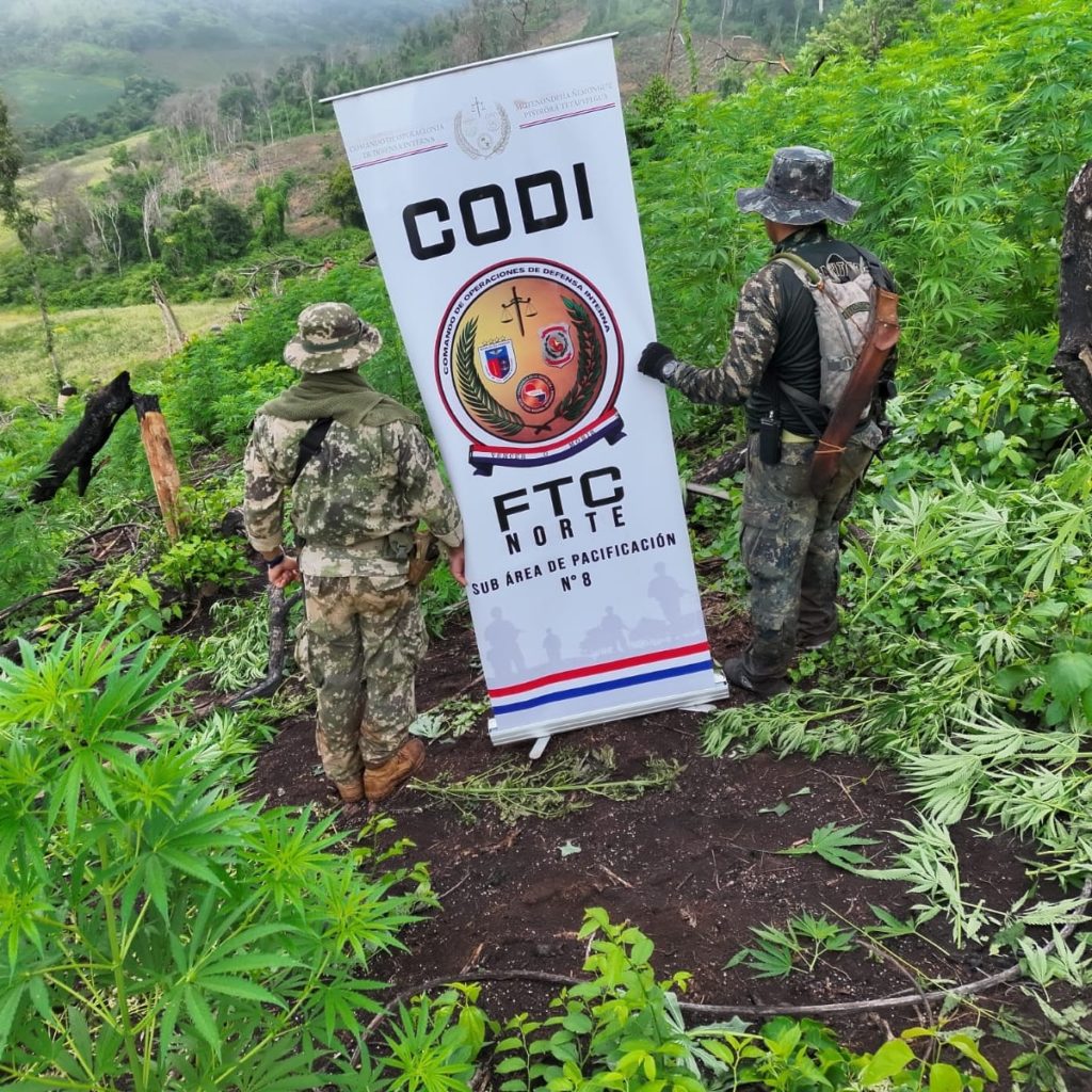 Golpe al narcotráfico: incautan casi 10 toneladas de marihuana en operativo del CODI en Amambay