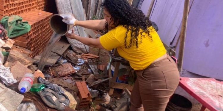 Alertan sobre reaparición de dengue grave y refuerzan llamado a la prevención