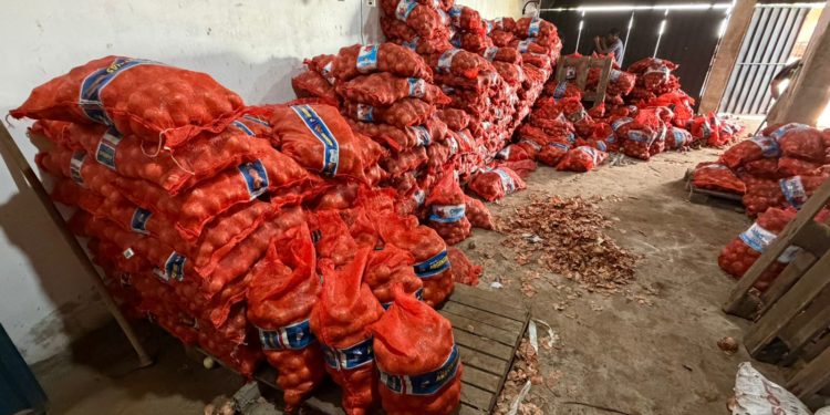 Golpe al contrabando: Incautan casi 13 toneladas de cebolla y papa en operativo de la DNIT