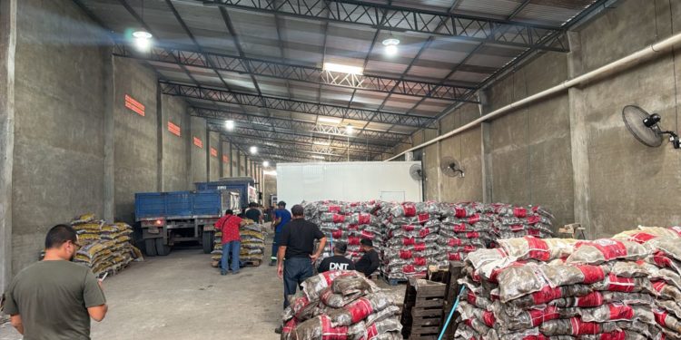 Golpe al contrabando: Incautan más de 53 toneladas de productos frutihortícolas en Fernando de la Mora