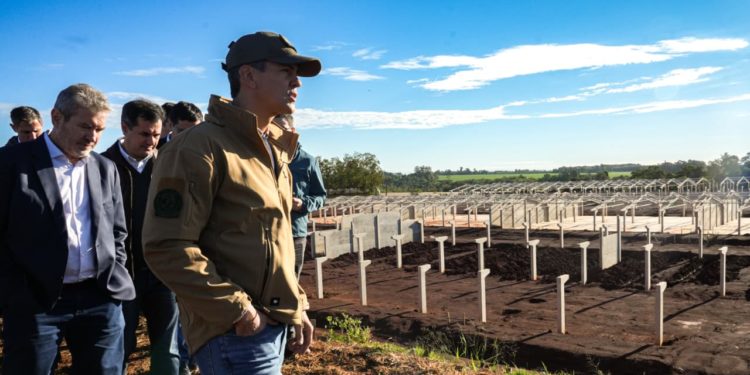 Peña destaca avance de la producción porcina tras visita a granja en Naranjal