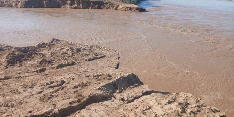 Desborde del río Pilcomayo afecta a 500 familias en General Brugués y Cadete Pando