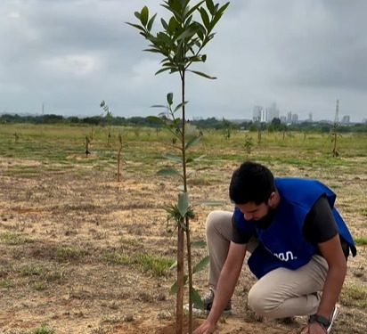 Asunción y su “revolución Verde”: Diez Años de “Plantatón” transformando el paisaje urbano