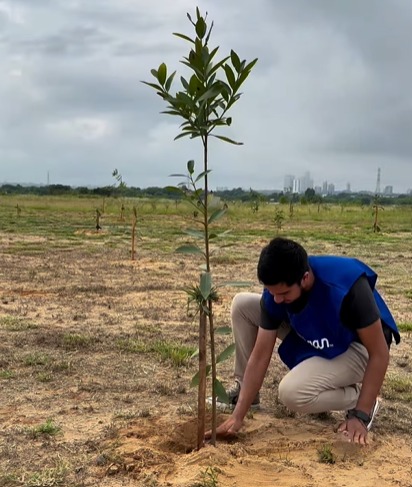 Asunción y su “revolución Verde”: Diez Años de “Plantatón” transformando el paisaje urbano