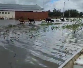 SEN intensifica asistencia en el Chaco ante inundaciones y prepara operativo aéreo para llegar a comunidades aisladas