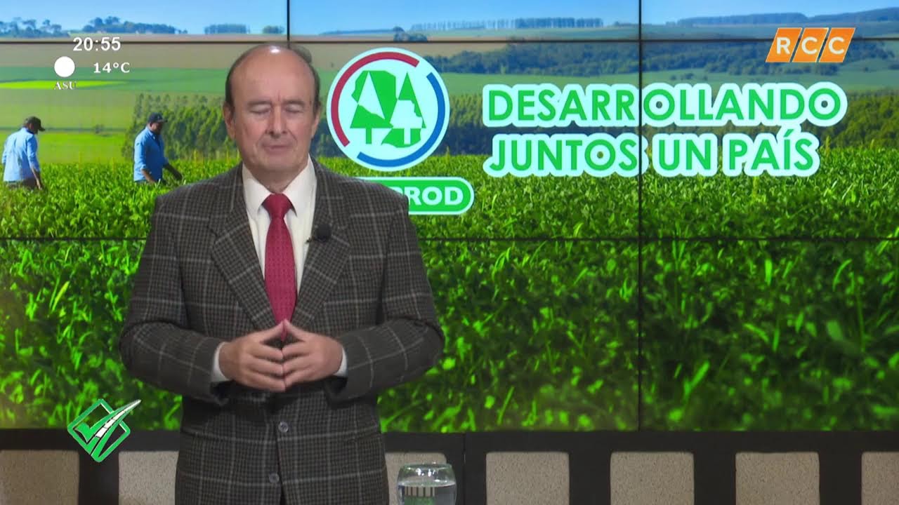 Video: Camino al Desarrollo | Tendencias en el proceso de  independencia en el Paraguay