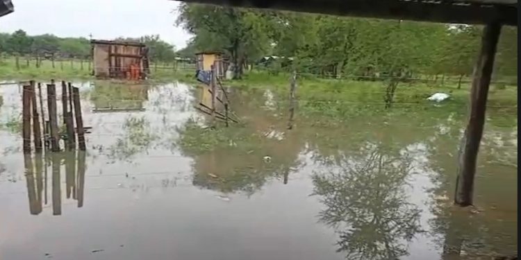 Inundaciones aíslan a comunidades del Chaco y dejan severas pérdidas productivas en General Bruguez