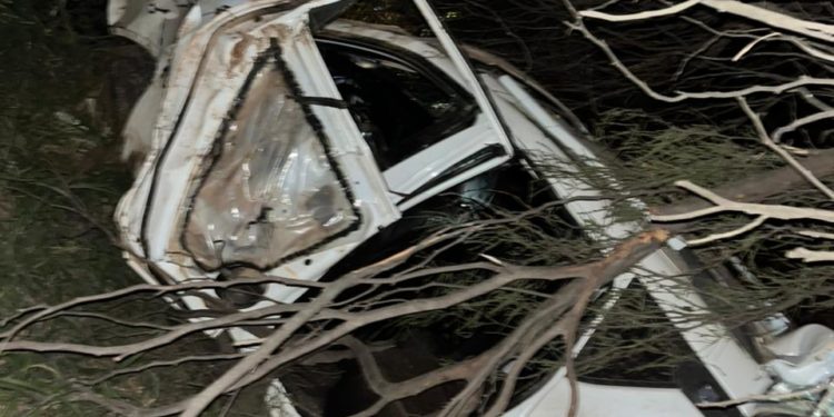 Alarma en el Chaco: El cóctel de alcohol y velocidad vuelve a volcar conciencias en Filadelfia Alarma en el Chaco: El cóctel de alcohol y velocidad vuelve a volcar conciencias en Filadelfia