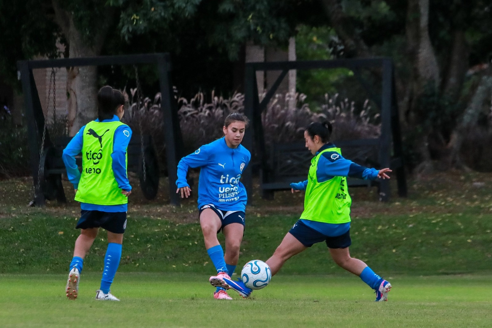 Puso primera: La Albirroja Femenina Sub 16 ya se prepara para la Copa Desarrollo en el CARFEM Puso primera: La Albirroja Femenina Sub 16 ya se prepara para la Copa Desarrollo en el CARFEM