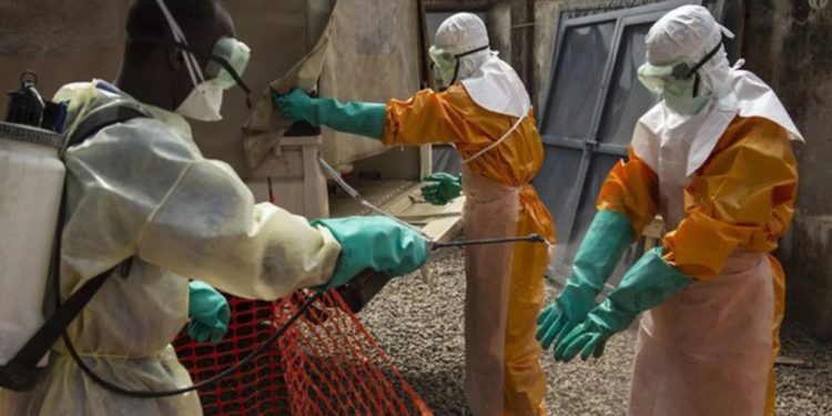 El mundo en vilo: la OMS declaró la emergencia de salud internacional por el brote de ébola en África