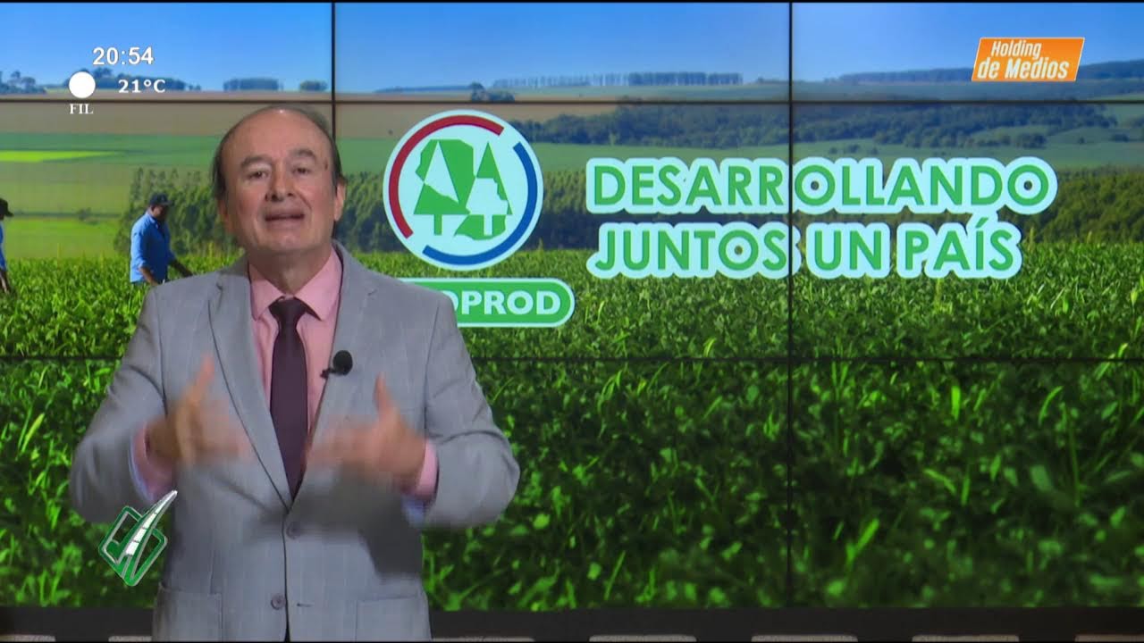 Video: Camino al desarrollo | La libertad económica: significado y efectos Video: Camino al desarrollo | La libertad económica: significado y efectos