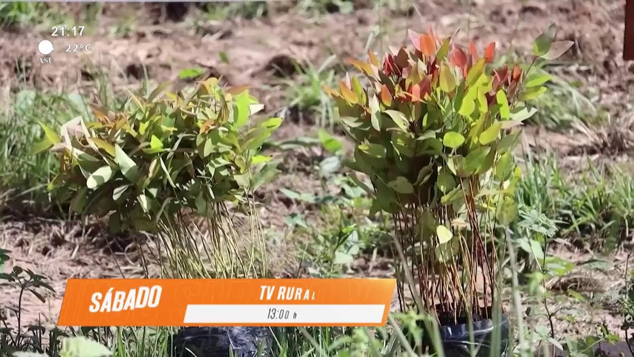 Video: Inventiva TV
