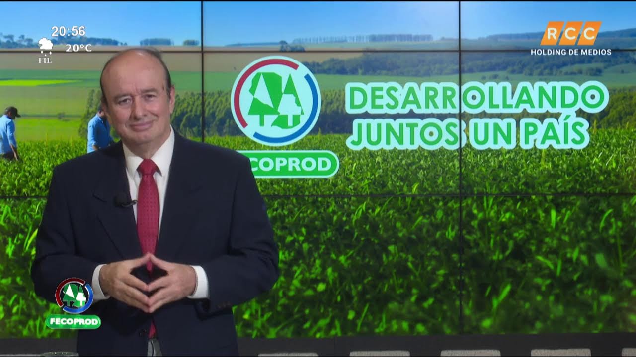 Video: Camino al Desarrollo | Los efectos del salario mínimo legal