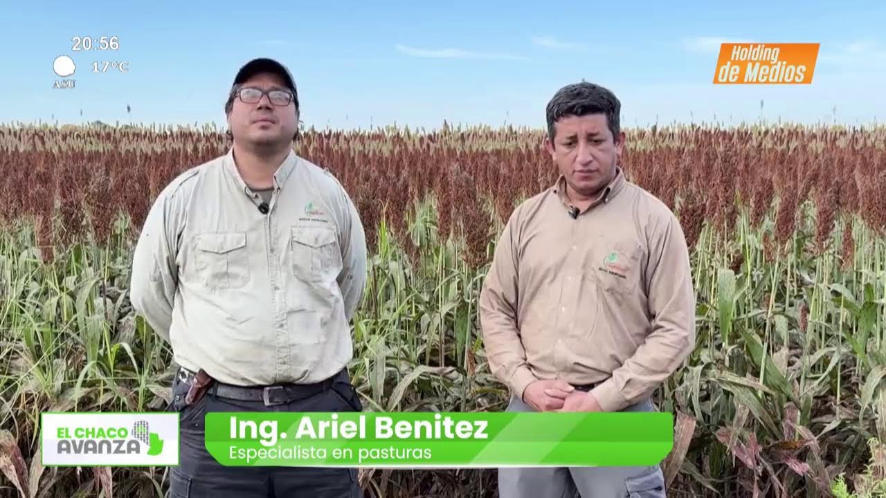 Video: El Chaco Avanza | El Cambisol, el campo experimental de la Cooperativa Chortitzer Video: El Chaco Avanza | El Cambisol, el campo experimental de la Cooperativa Chortitzer