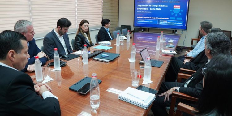 ANDE impulsa megaproyecto solar que duplicará la capacidad energética de Loma Plata