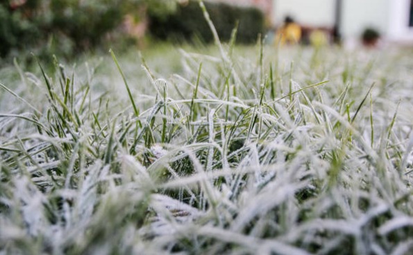 Masa de aire de origen polar se posiciona sobre Paraguay: prevén mínimas de hasta 1 °C y alta probabilidad de escarchas Masa de aire de origen polar se posiciona sobre Paraguay: prevén mínimas de hasta 1 °C y alta probabilidad de escarchas